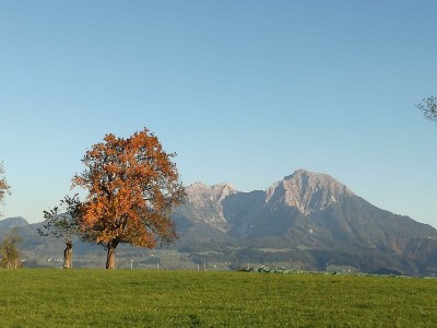 Apartment FEWO "Blumenwiese"/2 Schlafräume/DU/WC - Outdoor photo 47