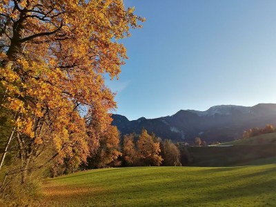 Apartment FEWO "Blumenwiese"/2 Schlafräume/DU/WC - Outdoor photo 50