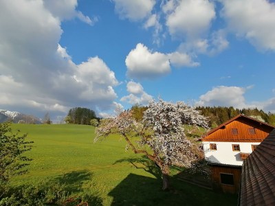 Apartment FEWO "Blumenwiese"/2 Schlafräume/DU/WC - Outdoor photo 54