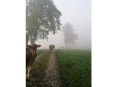 Apartment FEWO "Blumenwiese"/2 Schlafräume/DU/WC - Outdoor photo 64