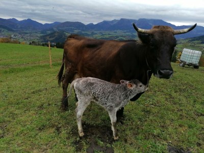 Apartment FEWO "Blumenwiese"/2 Schlafräume/DU/WC - Outdoor photo 65