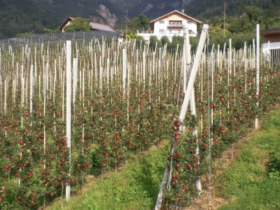 Holiday apartment Panoramic view - Outdoor photo 7