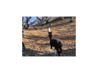 Holiday apartment Panoramic view - Outdoor photo 12