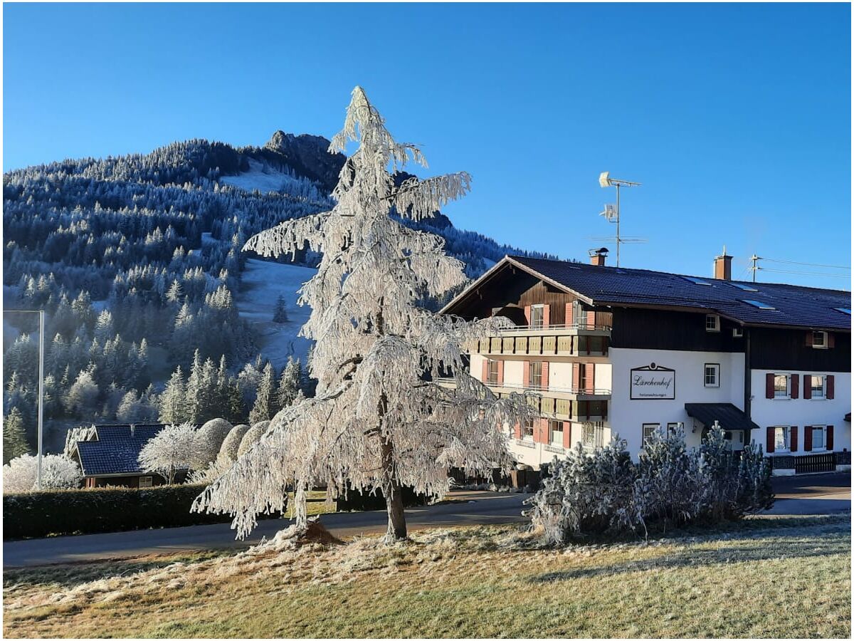 Holiday apartment Sorgschrofen- LÃ¤rchenhof Jungholz - Outdoor photo 2