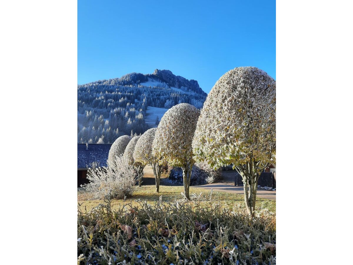 Holiday apartment Sorgschrofen- LÃ¤rchenhof Jungholz - Outdoor photo 3