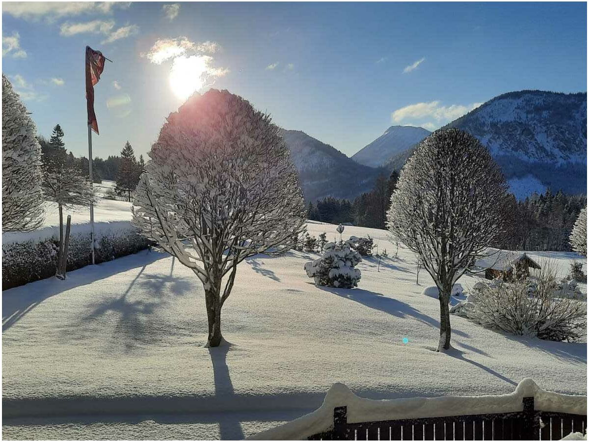 Holiday apartment Sorgschrofen- LÃ¤rchenhof Jungholz - Outdoor photo 4