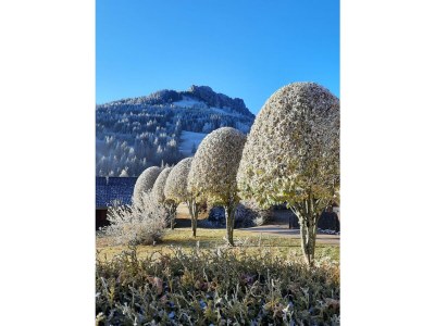 Holiday apartment Sorgschrofen- LÃ¤rchenhof Jungholz - Outdoor photo 3
