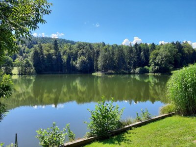 Holiday house KraxlhÃ¼tte Carinthia - Environment photo 33