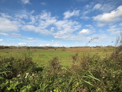 Holiday house Sea la Vie - Outdoor photo 6