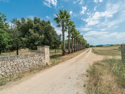 Holiday house Son Lloringo - Outdoor photo 30