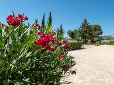 Villa Ca Na Menuda - Outdoor photo 15