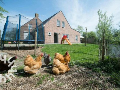 Holiday house Holiday house Grijpskerke - ZE646 - Environment photo 22