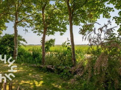 Holiday house Holiday house Grijpskerke - ZE056 - Environment photo 17