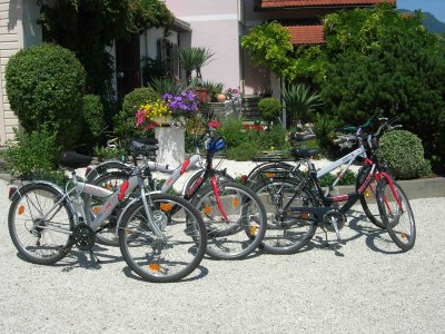 Holiday apartment Haus Thon Ferienwohnung Nussbaum - Environment photo 16