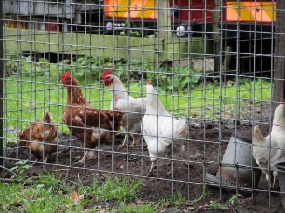 Holiday house Holiday house Loosdrecht - NH225