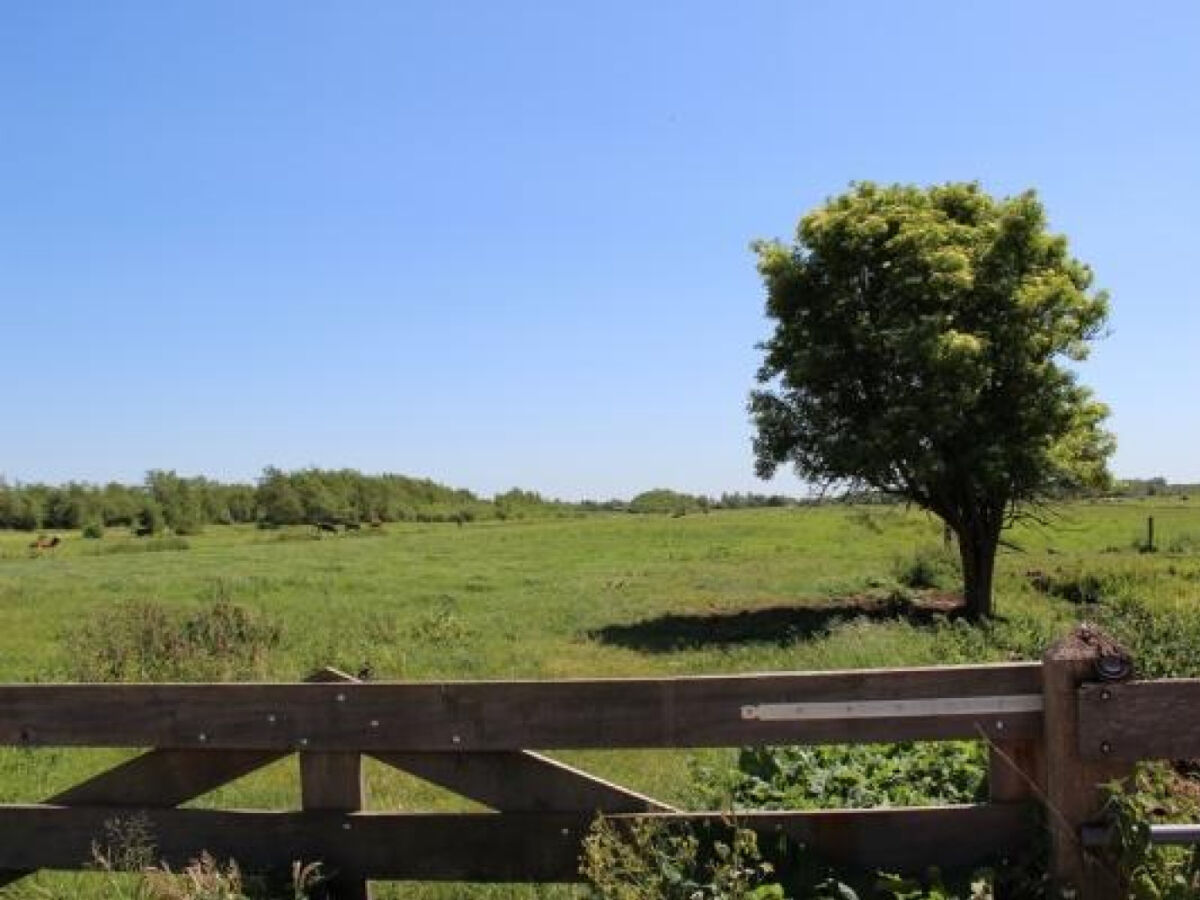 Holiday house Holiday house Loosdrecht - NH225 - Outdoor photo 5