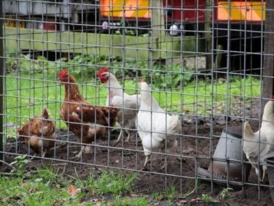 Holiday house Holiday house Loosdrecht - NH225 in Loosdrecht - Holiday house