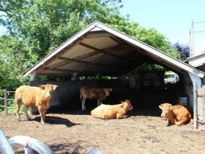 Holiday house Holiday house Loosdrecht - NH225 - Outdoor photo 4