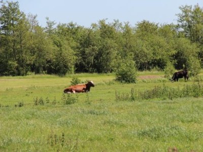 Holiday house Holiday house Loosdrecht - NH225 - Outdoor photo 6