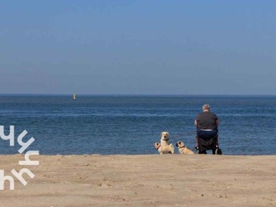 Holiday house Holiday house Westkapelle - ZE733 - Environment photo 23