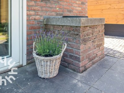 Holiday house Holiday house Zoutelande - ZE179 - Environment photo 19