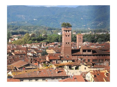 Villa Lucchesia - Tuscan picture-book residence - Environment photo 37