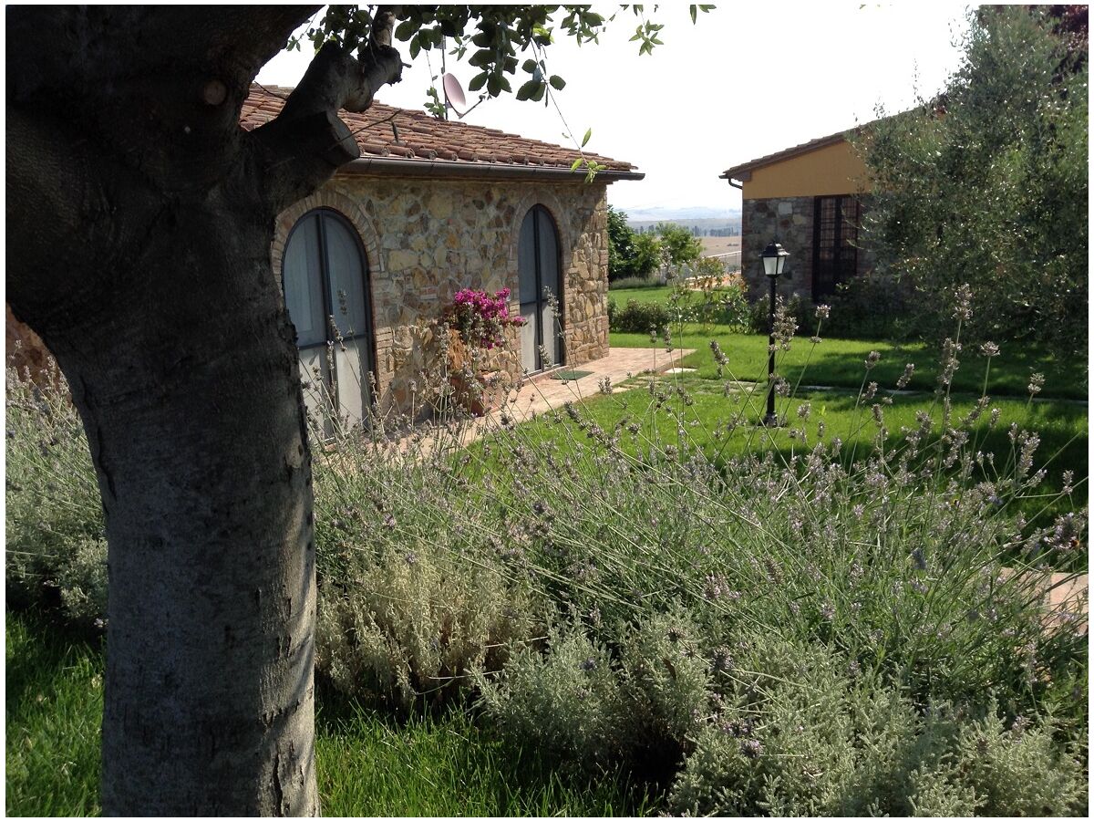 Holiday house Holiday home Fattoria Cipressi, 10 km from the sea, vineyard, Tuscan flair! - Outdoor photo 5