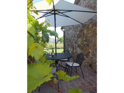 Holiday house Holiday home Fattoria Cipressi, 10 km from the sea, vineyard, Tuscan flair! - Outdoor photo 6