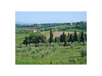 Holiday house Holiday home Fattoria Cipressi, 10 km from the sea, vineyard, Tuscan flair! - Outdoor photo 9