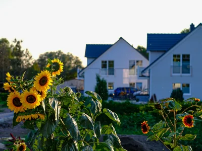 Holiday house Haffkönigin II - Outdoor photo 3