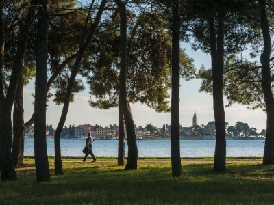 Villa Villa Sandi - Environment photo 39