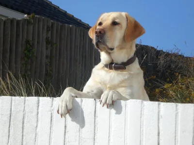 Holiday house Ideaal - Environment photo 26