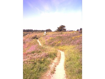 Holiday house Ideaal - Environment photo 29