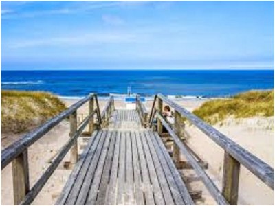 Holiday house Wiese und Wald - Environment photo 21