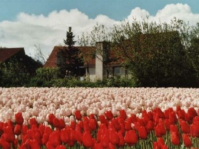 Holiday house 'Pronkjewail' - Yperhof 14 - Environment photo 18