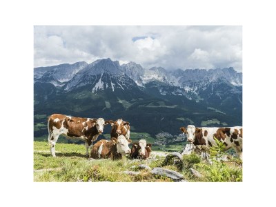 Apartment Appartement Unterbering - Features photo 27