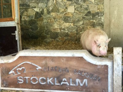 Apartment Heibodn 1-8 Pers. - Outdoor photo 20