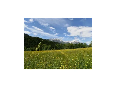 Apartment Appartement Kaiserblick - Outdoor photo 3