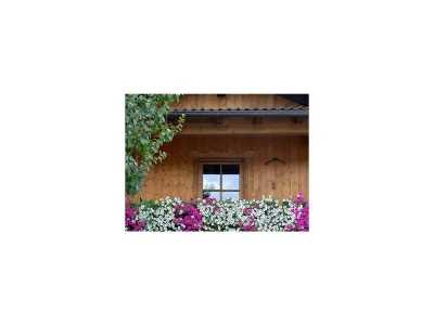 Apartment Appartement Kaiserblick - Outdoor photo 6