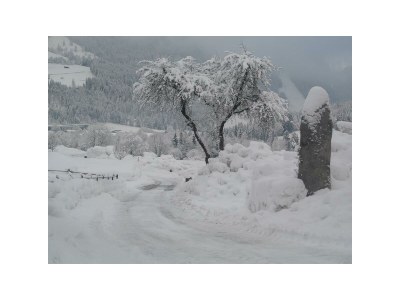Apartment Appartement Kaiserblick - Outdoor photo 16
