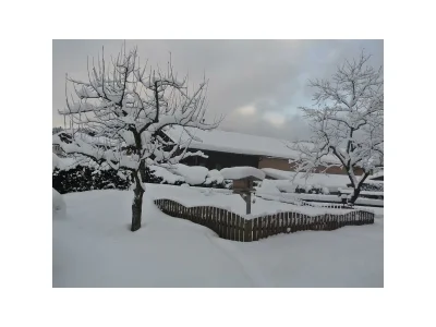 Apartment Appartement Kaiserblick - Outdoor photo 17