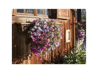 Apartment Appartement Kaiserblick - Outdoor photo 39