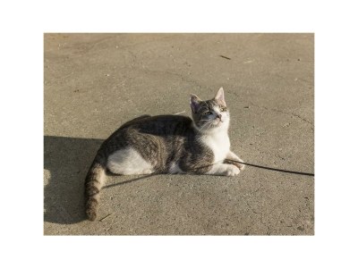 Apartment Appartement Kaiserblick - Outdoor photo 50