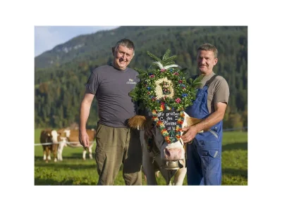 Apartment Appartement Kaiserblick - Outdoor photo 53