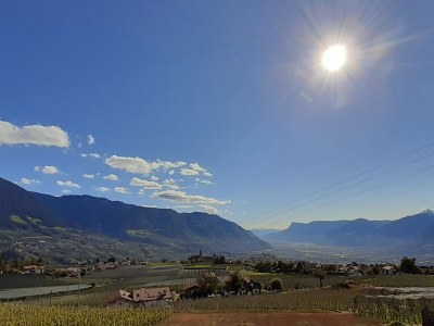 Holiday apartment Apartment Laimer in Haslach - Outdoor photo 10
