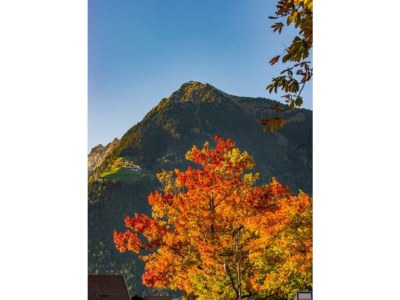 Holiday apartment Apartment Laimer in Haslach - Outdoor photo 11