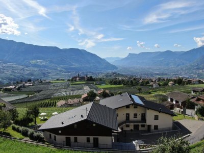 Holiday apartment Apartment Laimer in Haslach - Environment photo 16