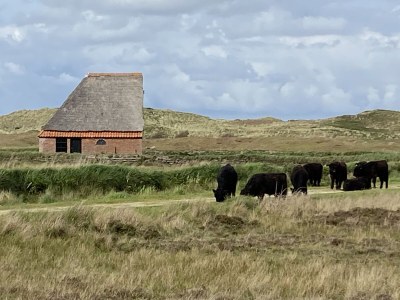 Holiday house Klavertjevier - Environment photo 19