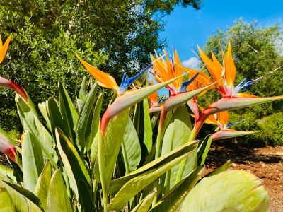 Villa Villa Aurore - Outdoor photo 8