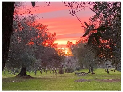 Villa Villa Aurore - Outdoor photo 12